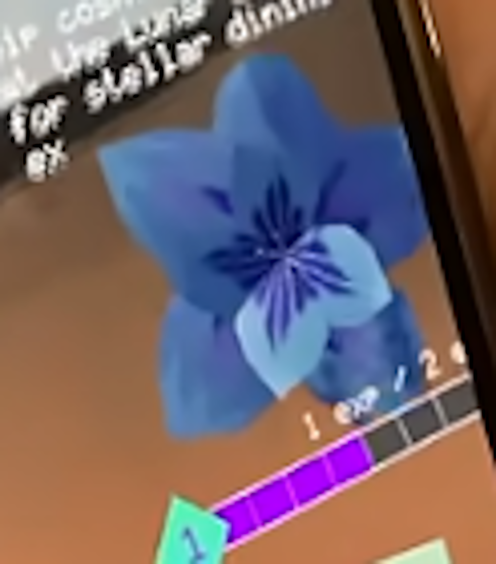 Image of Project